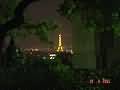 Eiffelturm Hinter Baeumen 1